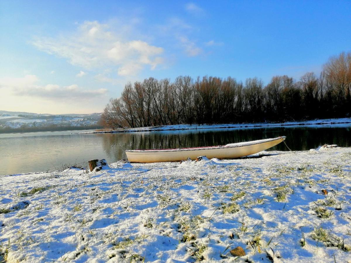 Danube Fairy Βίλα Futog Εξωτερικό φωτογραφία