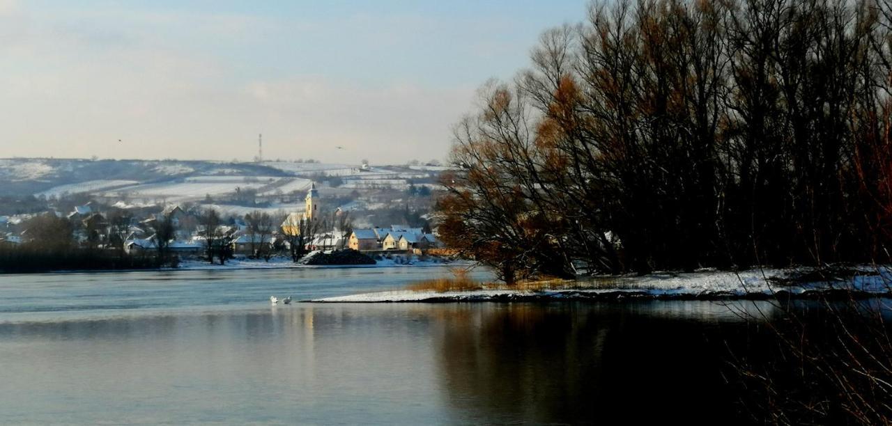 Danube Fairy Βίλα Futog Εξωτερικό φωτογραφία