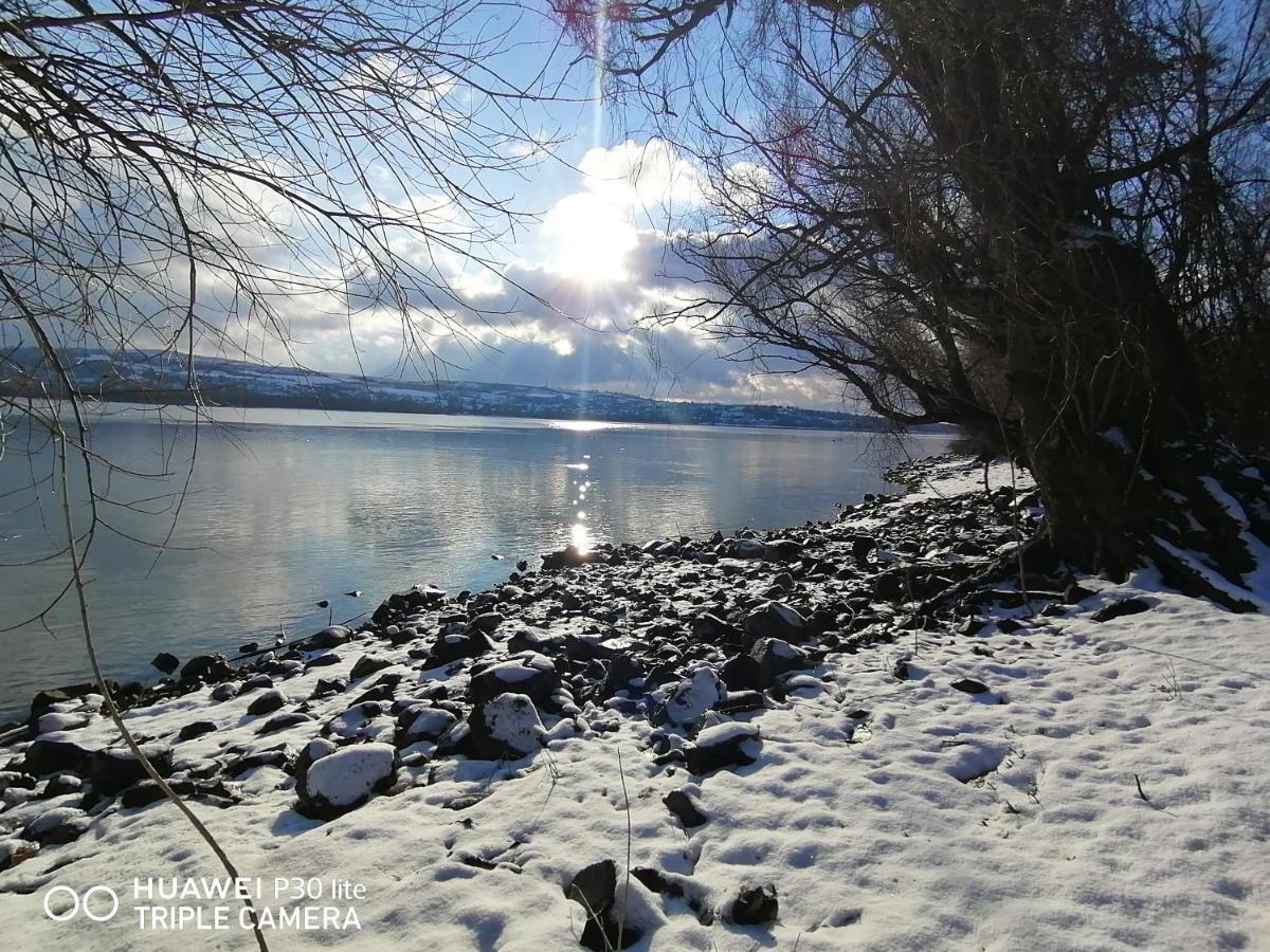 Danube Fairy Βίλα Futog Εξωτερικό φωτογραφία