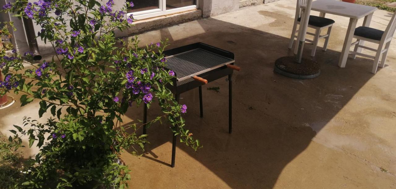 Danube Fairy Βίλα Futog Εξωτερικό φωτογραφία