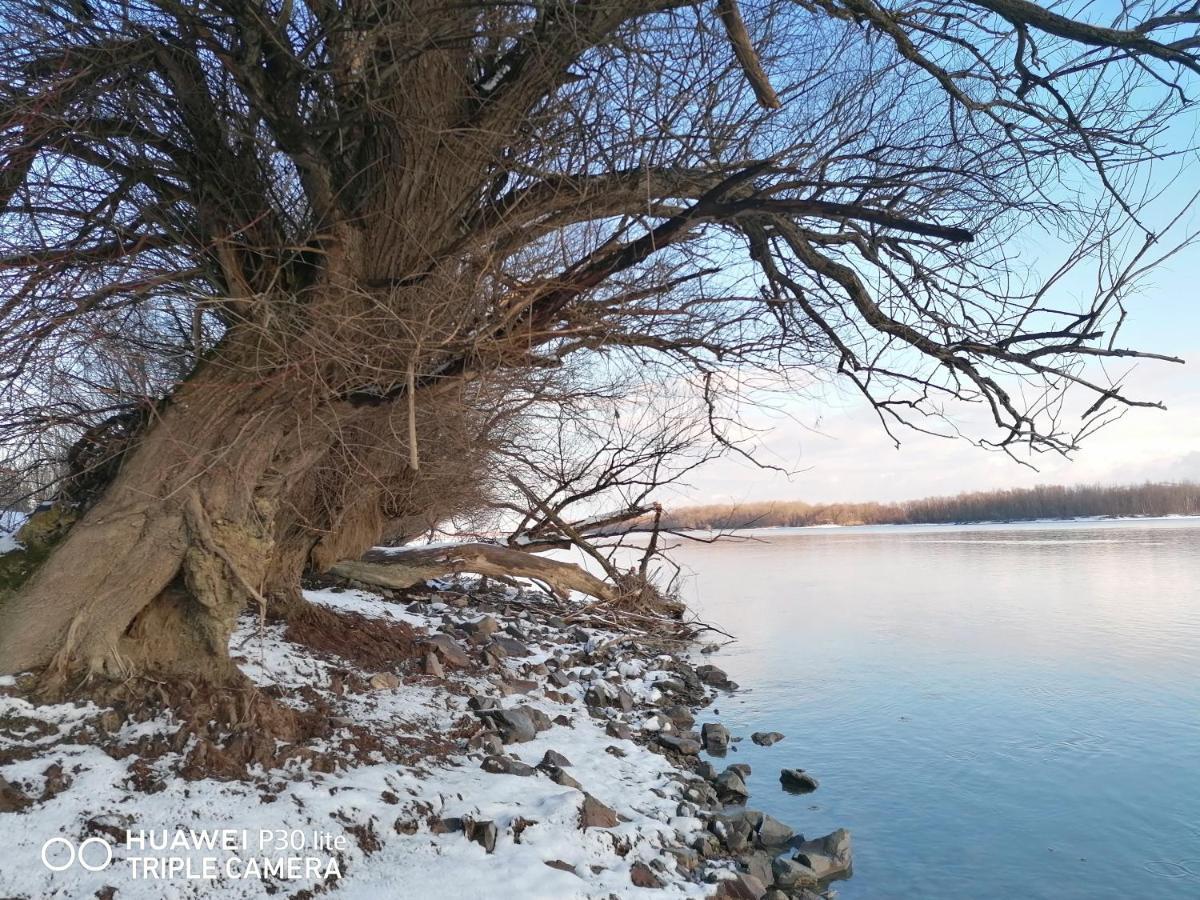 Danube Fairy Βίλα Futog Εξωτερικό φωτογραφία