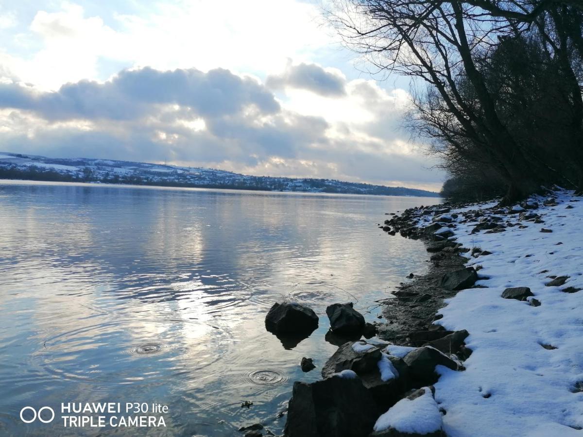 Danube Fairy Βίλα Futog Εξωτερικό φωτογραφία
