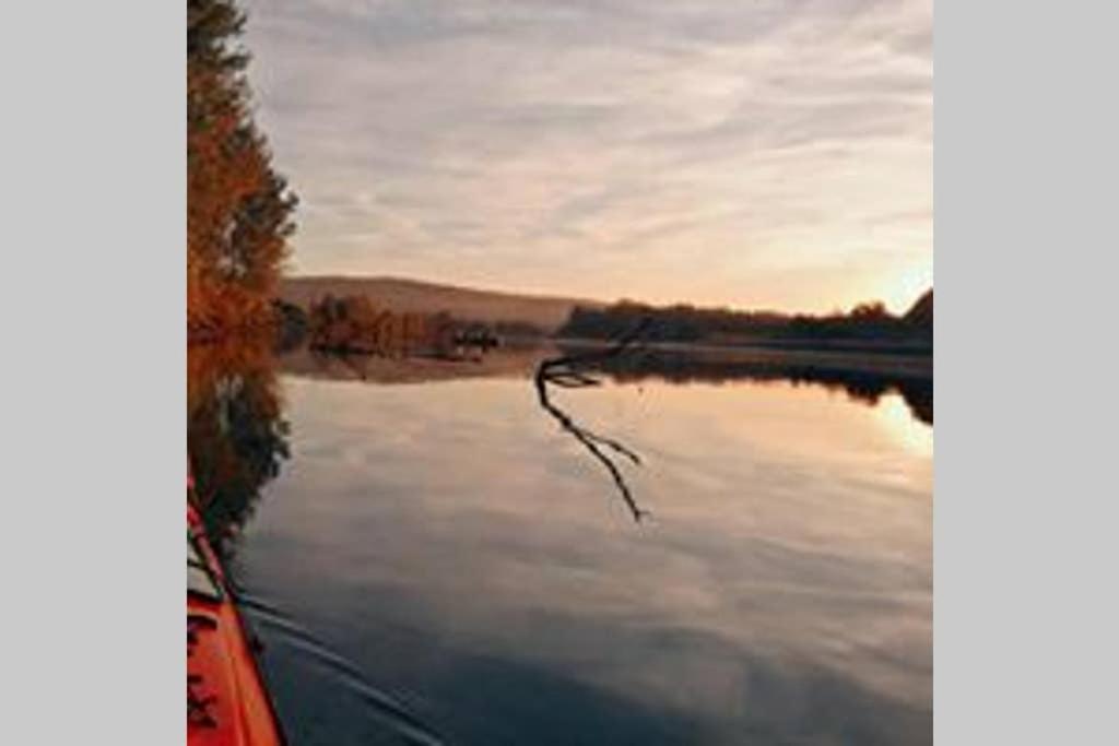 Danube Fairy Βίλα Futog Εξωτερικό φωτογραφία