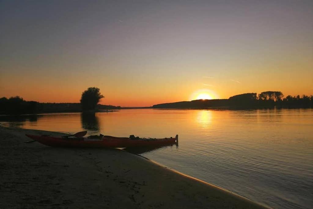 Danube Fairy Βίλα Futog Εξωτερικό φωτογραφία
