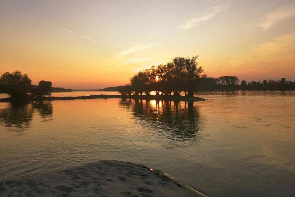 Danube Fairy Βίλα Futog Εξωτερικό φωτογραφία
